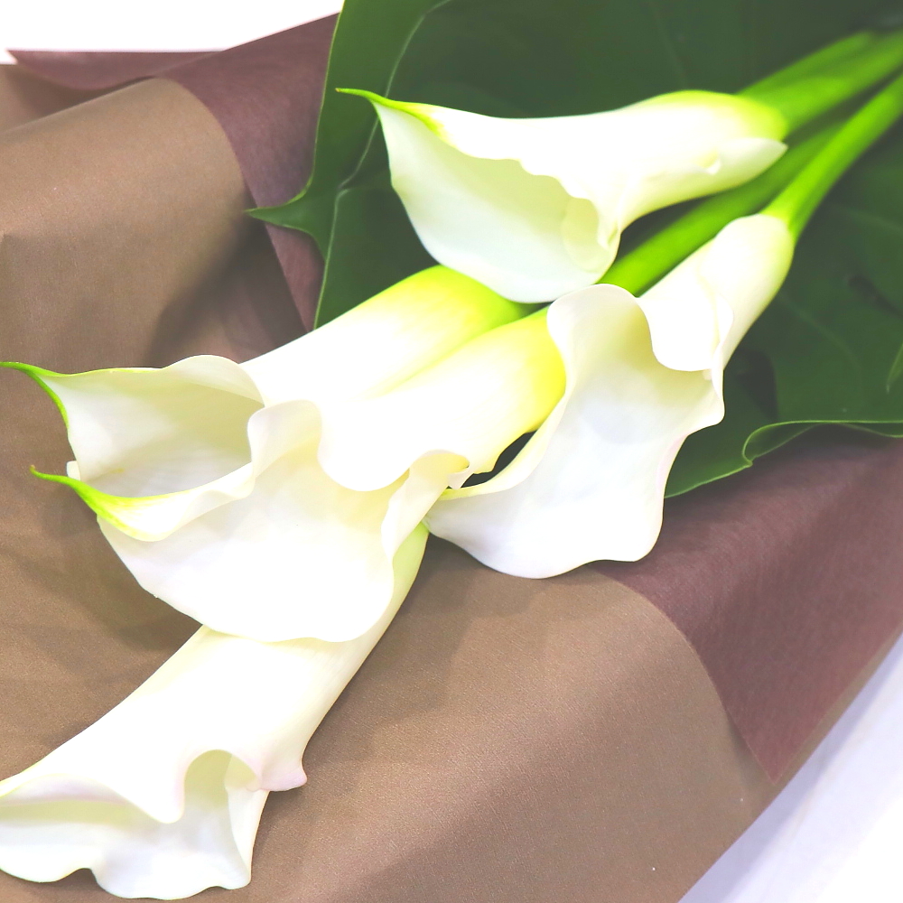 白いカラーの花束｜商品詳細