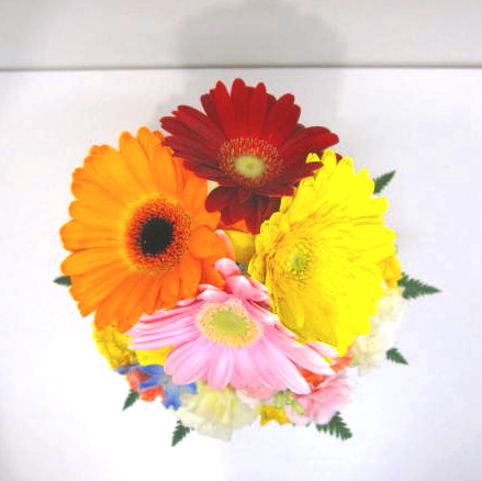 フラワーアレンジメント　ガーベラ キュートなアレンジメント PinkSurprise (ガーベラのフラワー