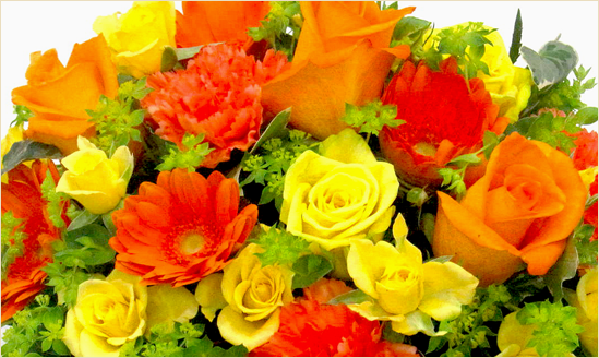 イエロー&オレンジ系の花