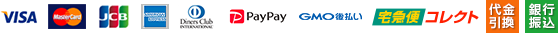 VISA　マスター　JCB　アメリカン・エキスプレス　ダイナースクラブ　GMO後払い　宅急便コレクト　代引引換　銀行振込
