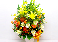 10,000円~15,000円の花