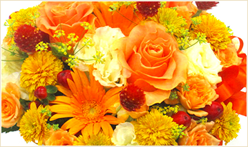 イエロー&オレンジ系の花