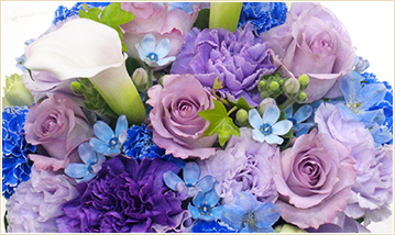 ブルー&パープル系の花