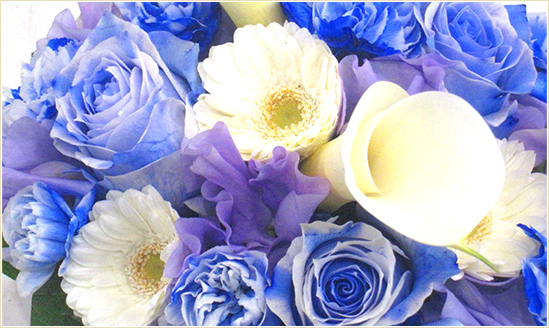 成人の日のブルー&パープル系の花
