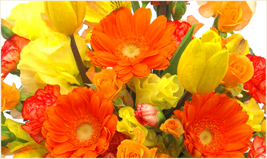 成人の日のイエロー&オレンジ系の花