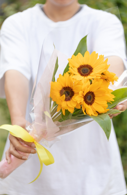 夏を代表する人気のお花 ひまわりプレゼント特集