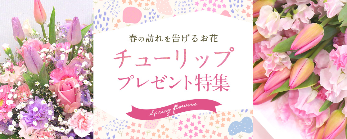 チューリッププレゼント特集 春の花贈りにきっと喜ばれる人気のお花を贈りませんか